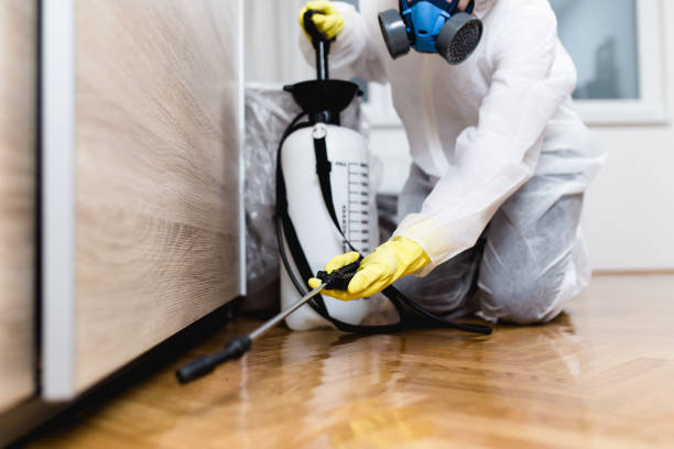 Best Wasp Removal Services  in Eastport, ME