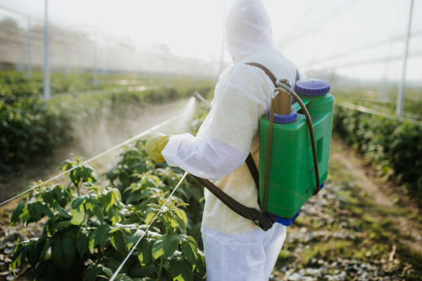 Best Pest Control for Restaurants  in Eastport, ME
